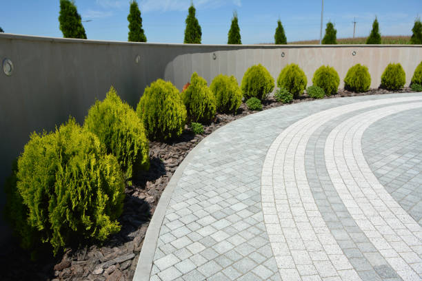 Best Affordable Driveway Paving  in Northlakes, NC